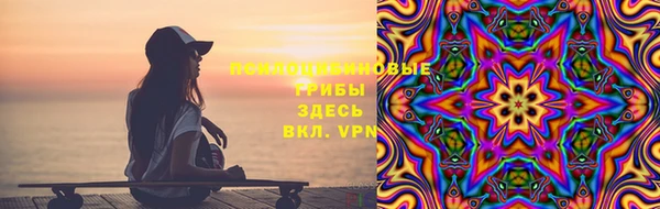ешки Аркадак