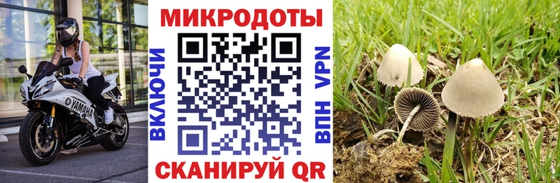 Галлюциногенные грибы GOLDEN TEACHER  купить наркотик  Харовск 